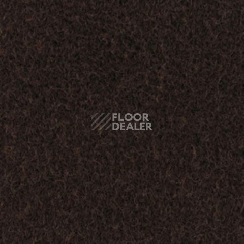 Ковролин Sommer Needlepunch Exposhow Exposhow Brown 9548 фото 1 | FLOORDEALER